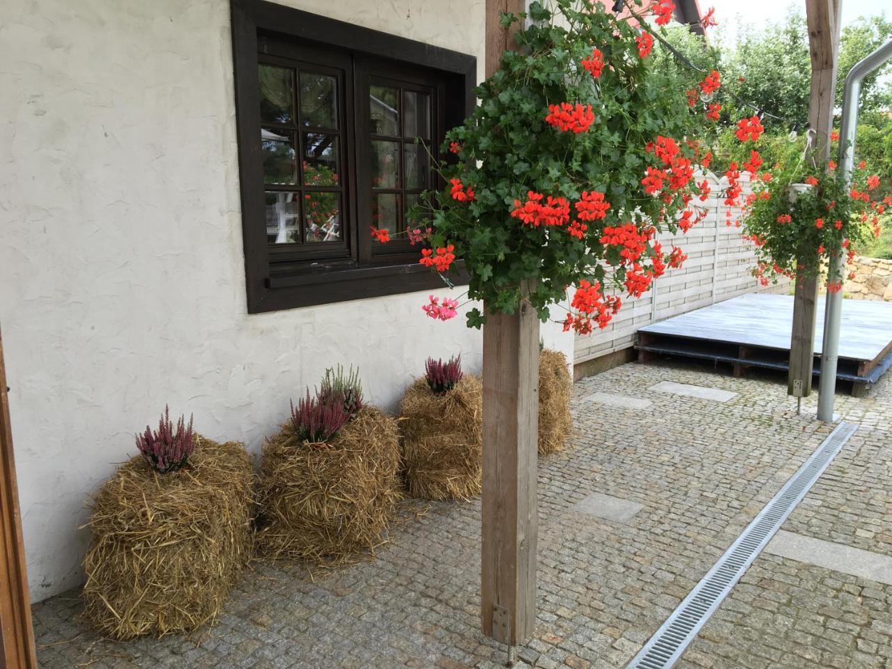 Stajnia Bialy Borek Biskupice  Exterior photo